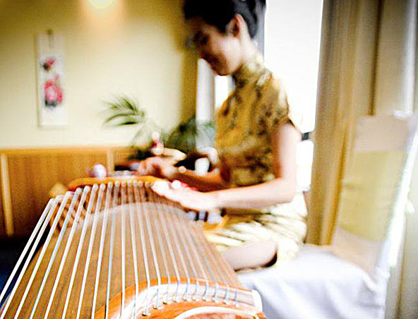 Harpist Adelaide